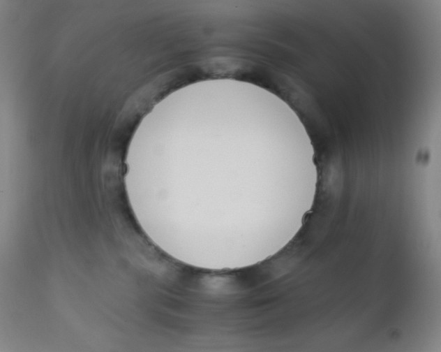 X0000110730283200907022117