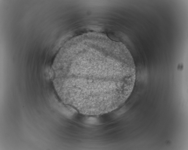 X0000110730285200907022117