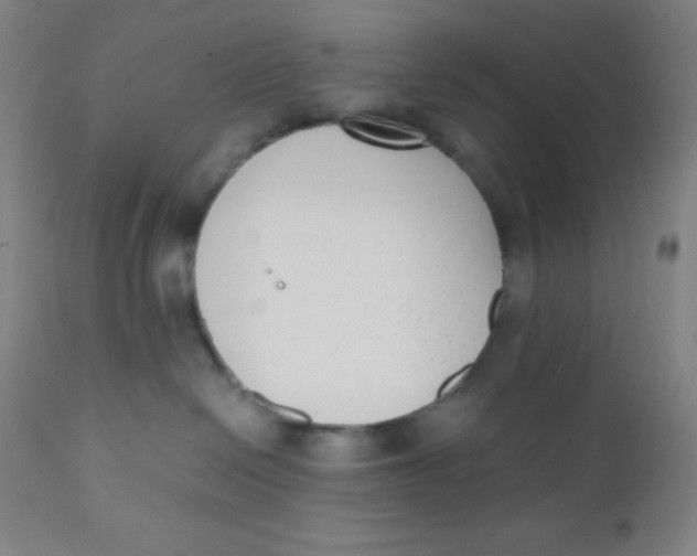 X0000110730286200907022117