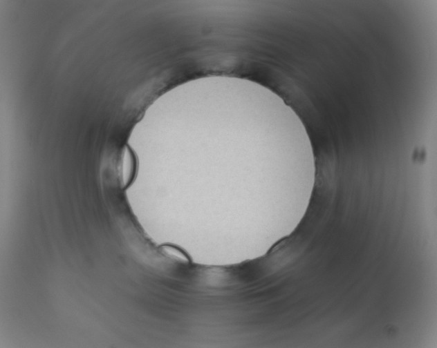 X0000110730287200907022117