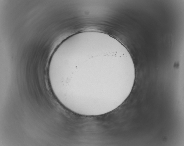 X0000110730289200907022116