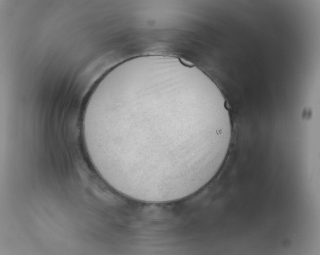 X0000110730290200907022116