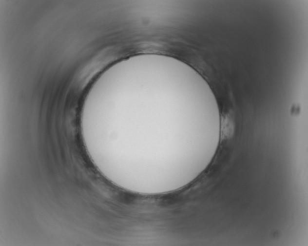 X0000110730291200907022116