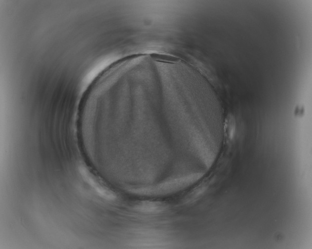 X0000110730292200907022116