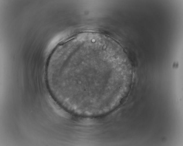 X0000110730293200907022116