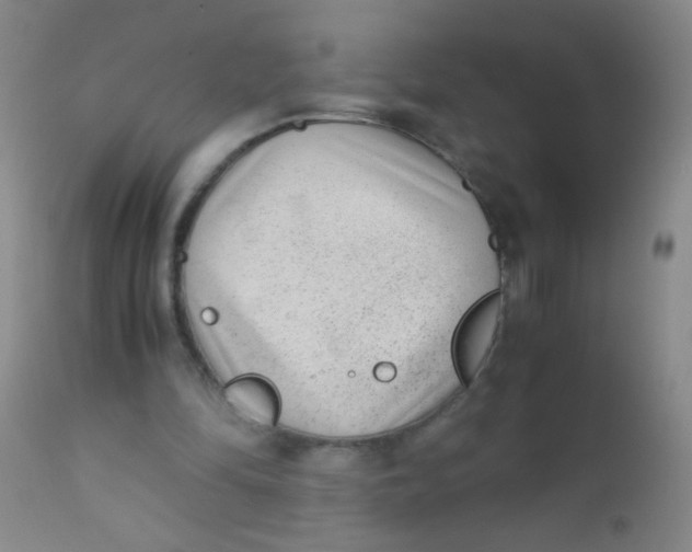 X0000110730294200907022116