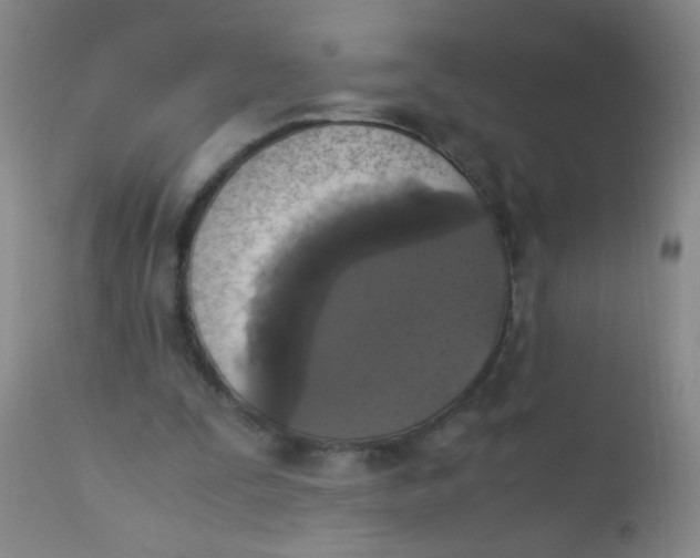 X0000110730295200907022116