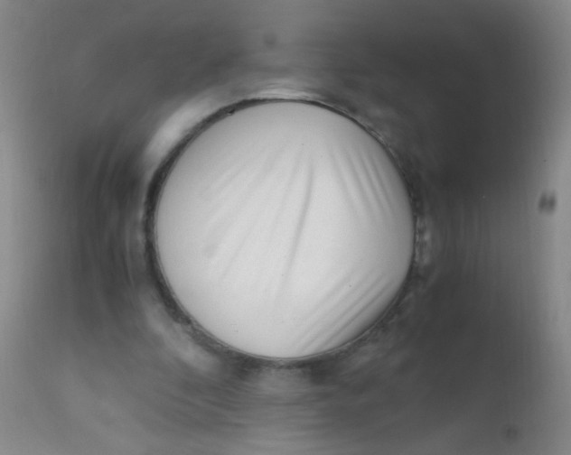 X0000110730296200907022116