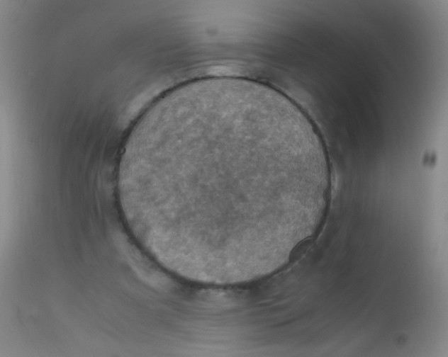 X0000110730297200907022116