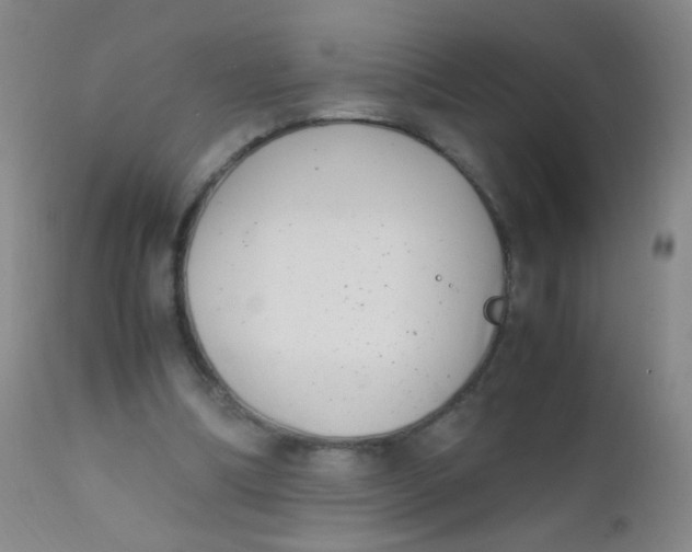 X0000110730298200907022116