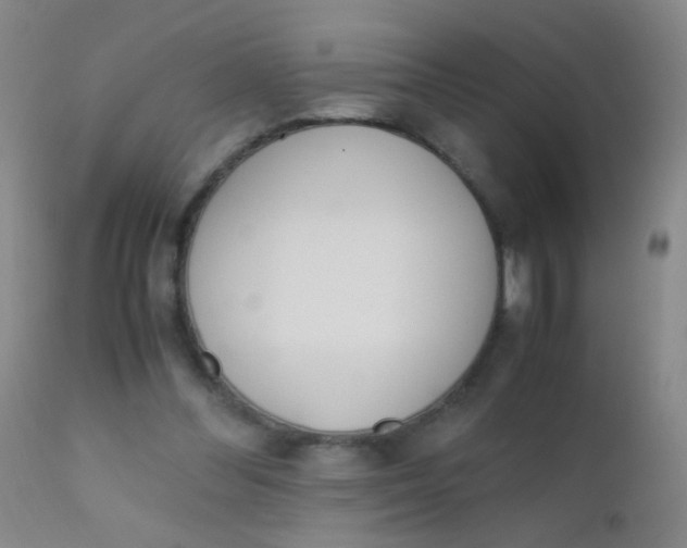 X0000110730300200907022116