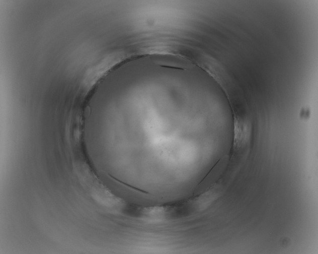 X0000110730301200907022116