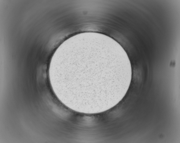 X0000110730302200907022116