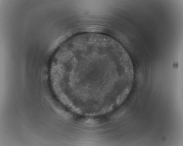 X0000110730303200907022116