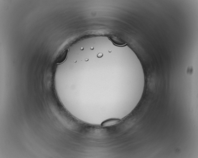 X0000110730304200907022116