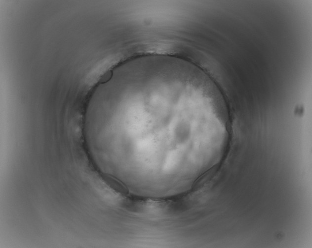 X0000110730305200907022116