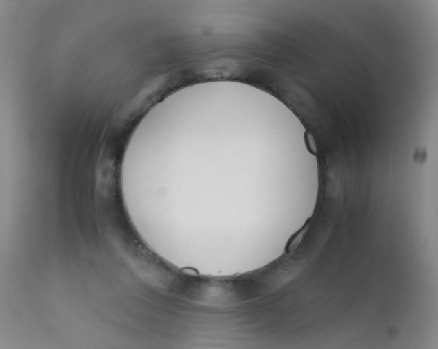 X0000110730308200907022116