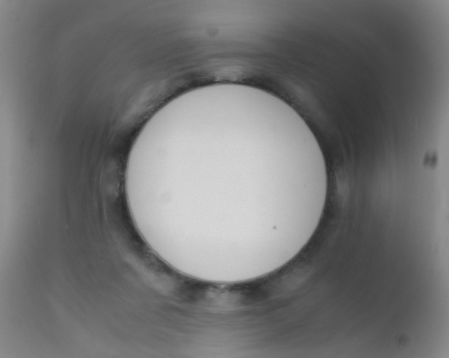 X0000110730311200907022116