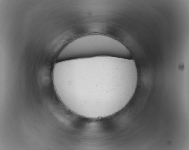 X0000110730312200907022116