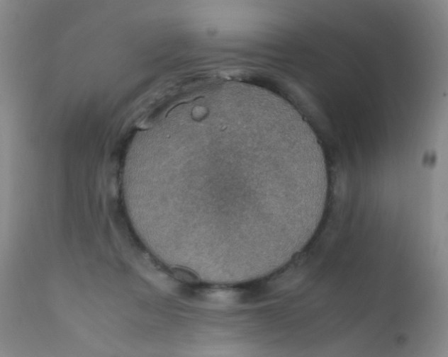 X0000110730313200907022116