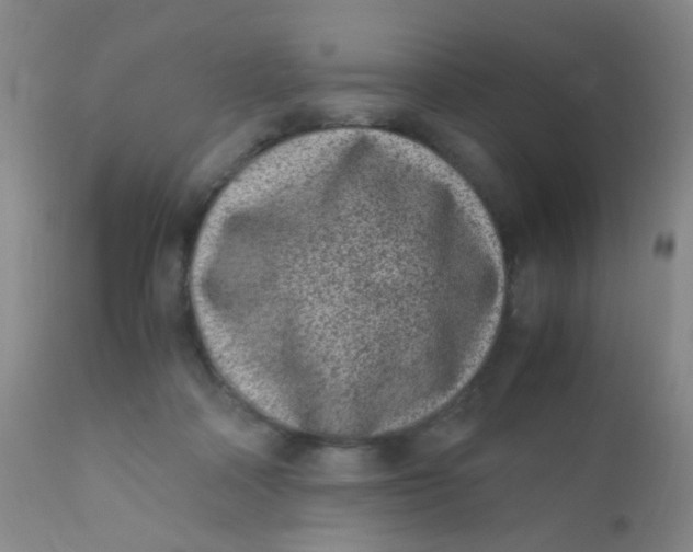 X0000110730314200907022116