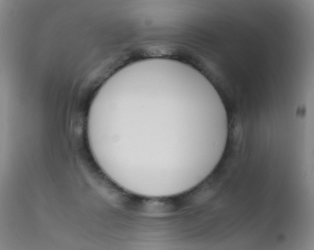 X0000110730315200907022116