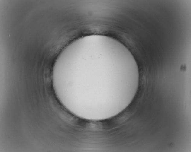 X0000110730317200907022116