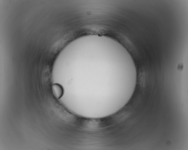 X0000110730318200907022116