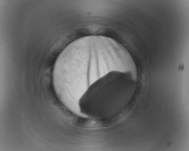 X0000110730319200907022116