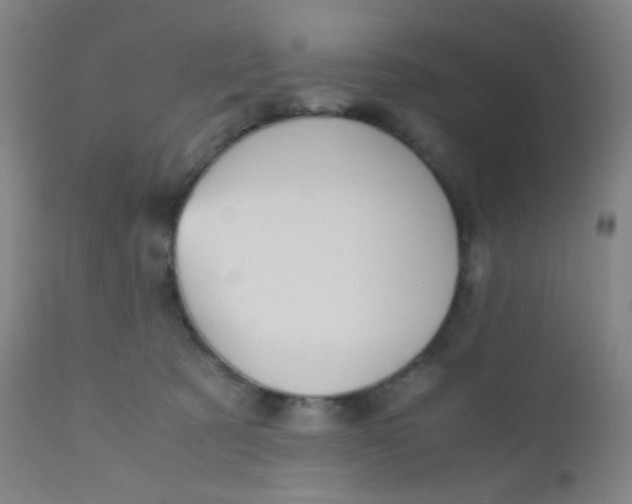 X0000110730321200907022116