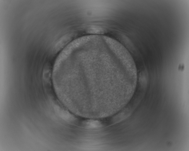 X0000110730322200907022116