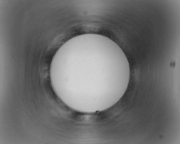 X0000110730323200907022116