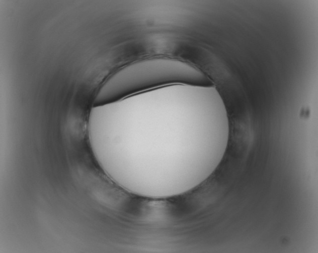 X0000110730324200907022116