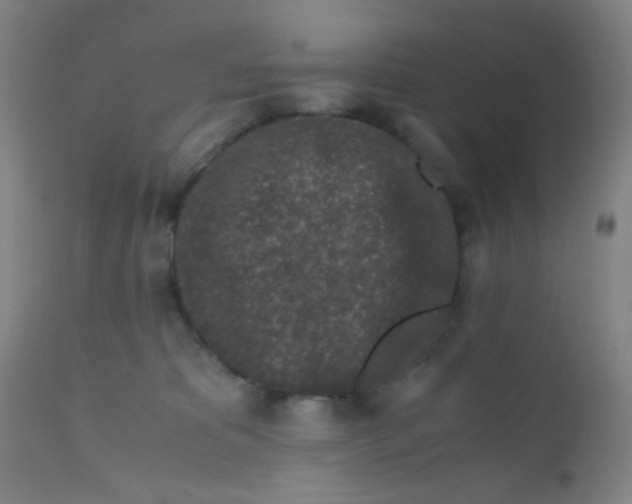 X0000110730325200907022116