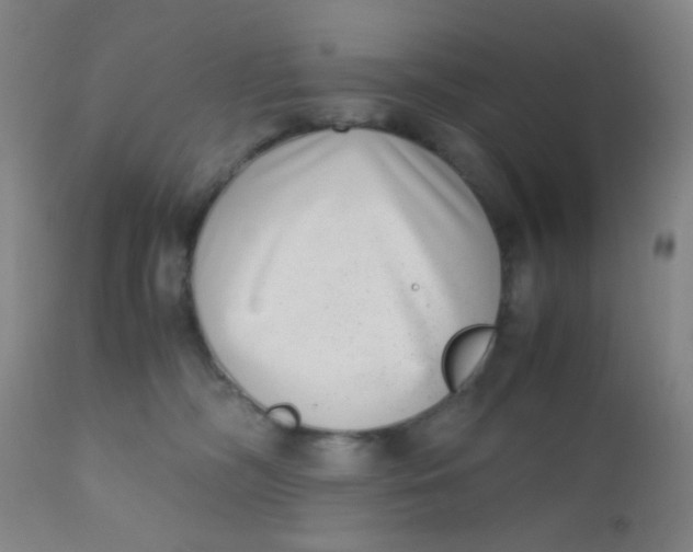 X0000110730326200907022116