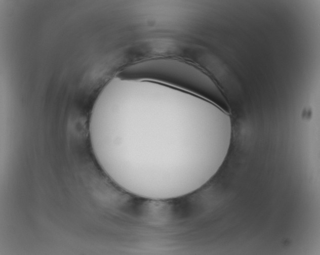 X0000110730327200907022116