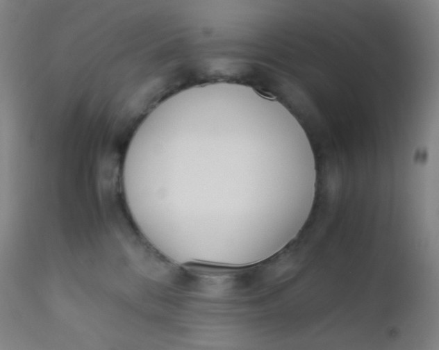 X0000110730328200907022116