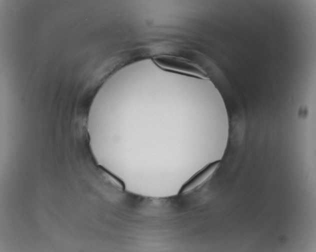 X0000110730329200907022116