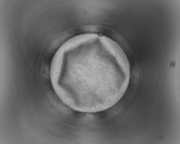 X0000110730330200907022116