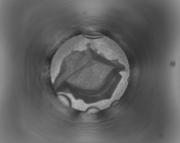 X0000110730331200907022116