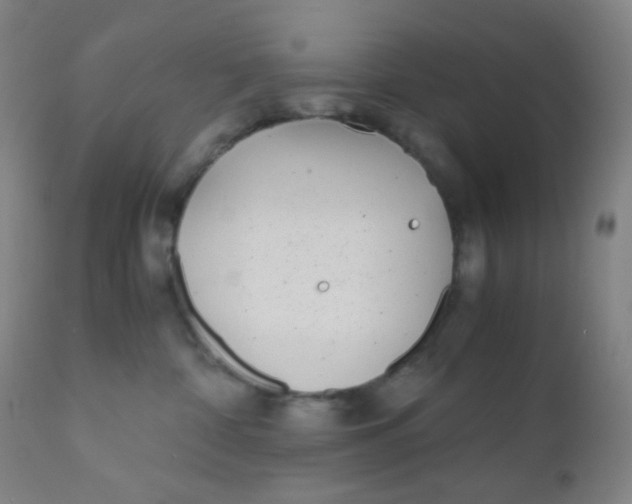 X0000110730332200907022116