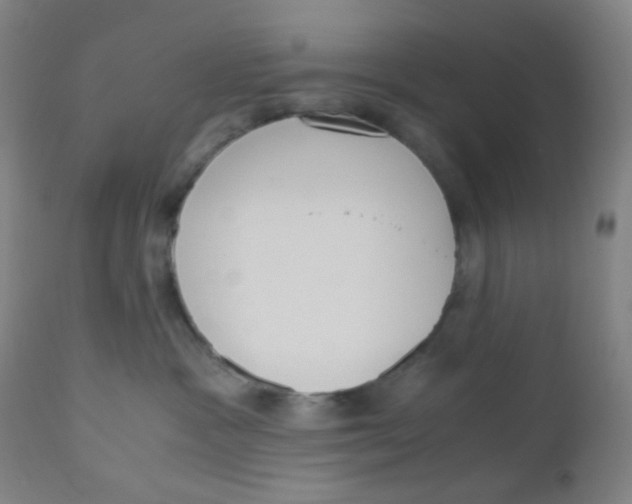 X0000110730333200907022116