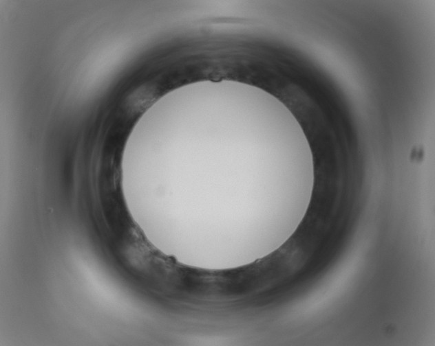 X0000110730334200907022116