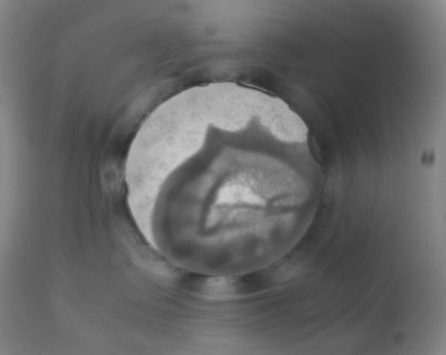 X0000110730335200907022116