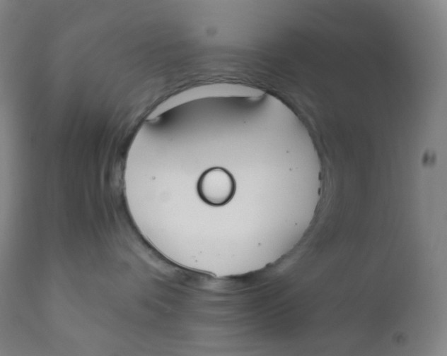 X0000110730336200907022116