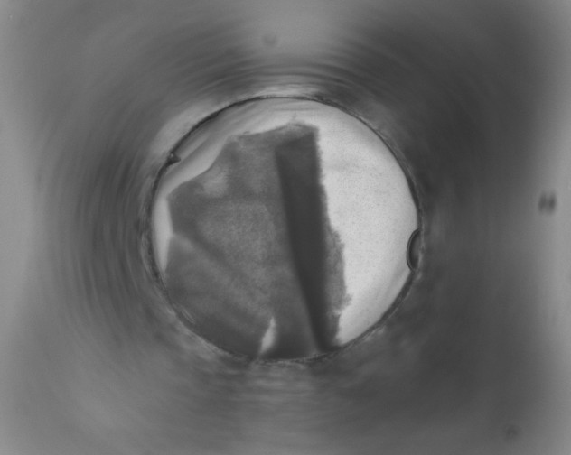 X0000110730337200907022115