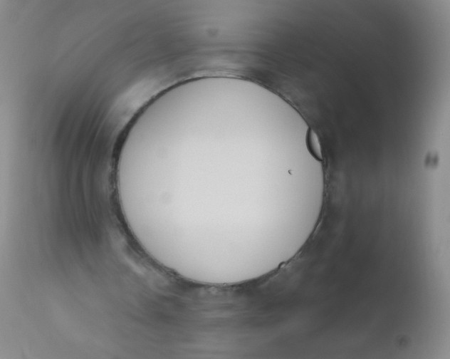 X0000110730338200907022115