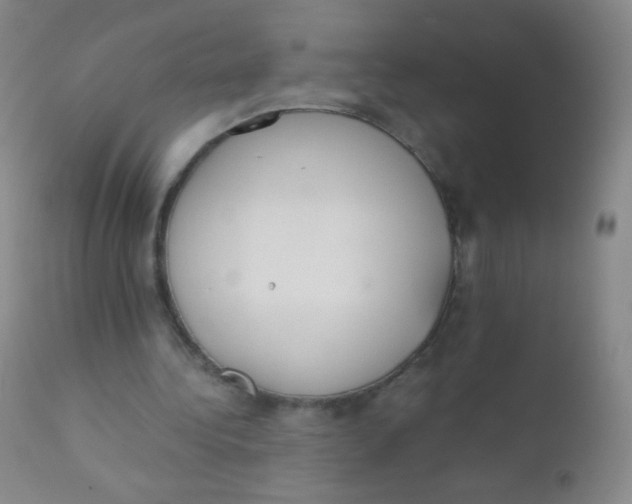 X0000110730340200907022115