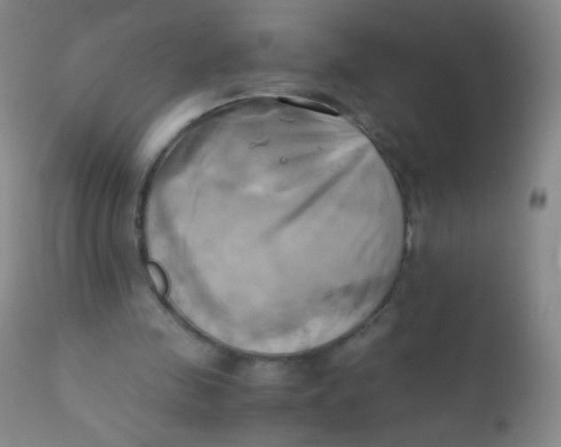 X0000110730341200907022115