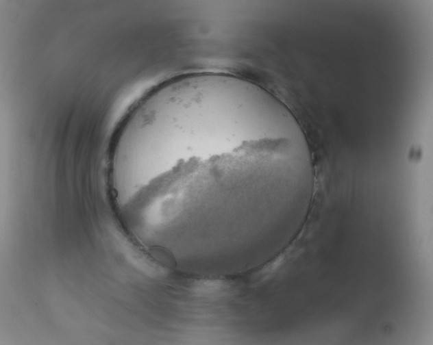 X0000110730342200907022115